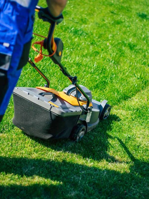 Modern Backyard Makeover in California