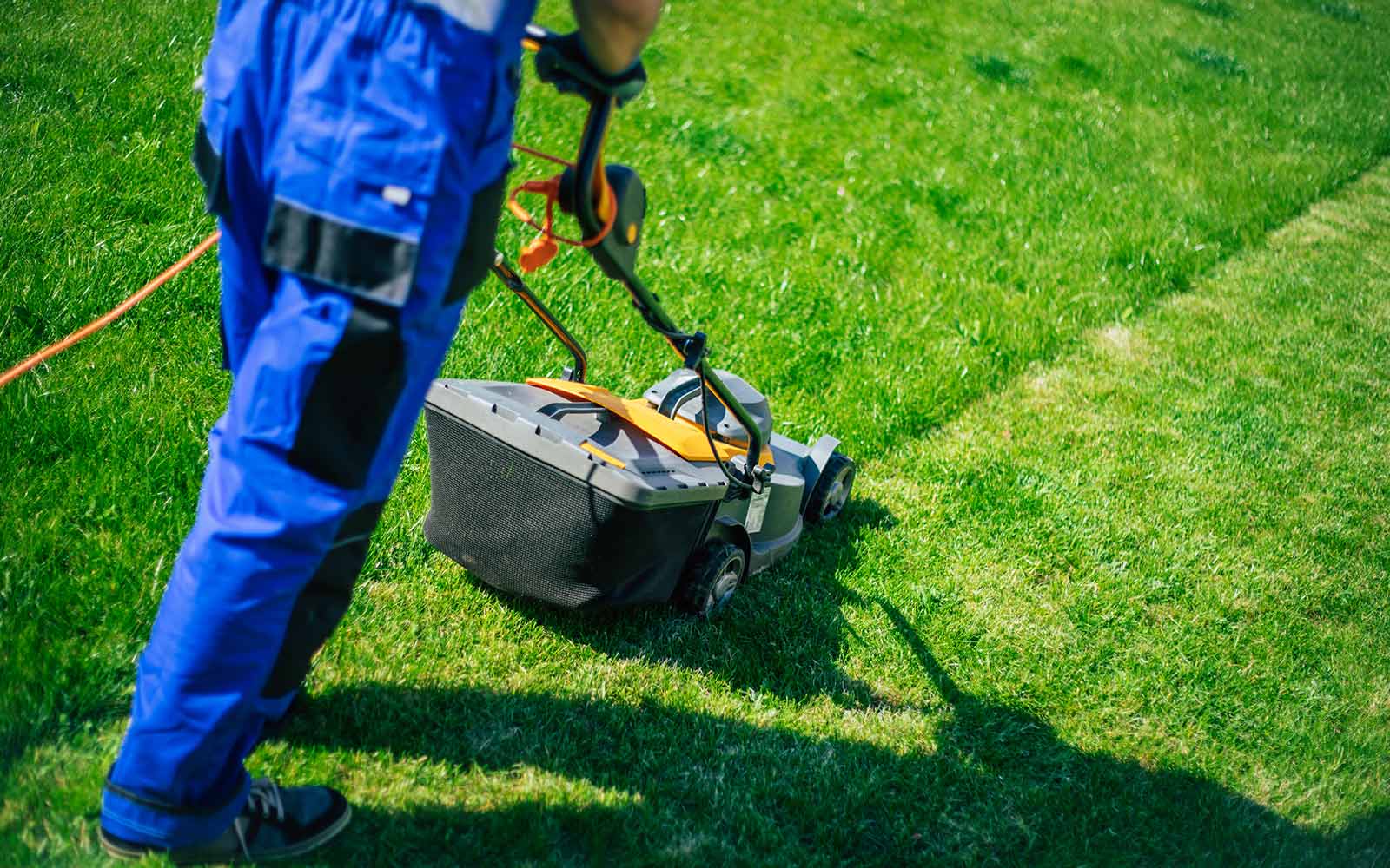 Modern Backyard Makeover in California