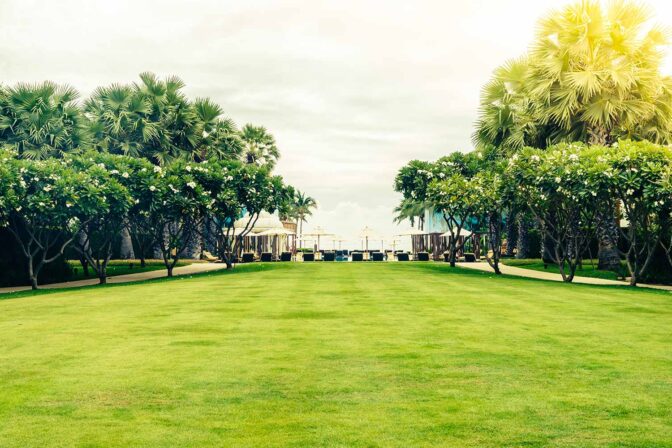 Tailored landscaping designs that reflect each client’s